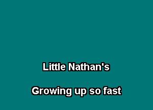 Little Nathan's

Growing up so fast