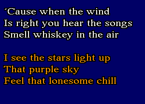 'Cause when the wind
IS right you hear the songs
Smell whiskey in the air

I see the stars light up
That purple sky
Feel that lonesome Chill