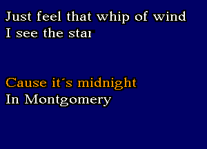 Just feel that whip of wind
I see the stal

Cause it's midnight
In IVIontgomery