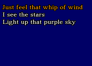 Just feel that whip of wind
I see the stars
Light up that purple Sky