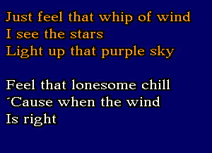 Just feel that Whip of wind
I see the stars

Light up that purple sky

Feel that lonesome Chill
'Cause when the wind
Is right