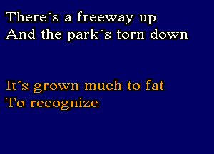 There's a freeway up
And the parks torn down

IFS grown much to fat
To recognize