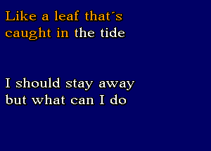 Like a leaf that's
caught in the tide

I should stay away
but what can I do