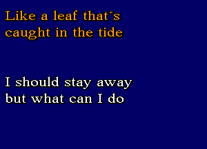 Like a leaf that's
caught in the tide

I should stay away
but what can I do