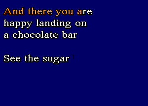 And there you are
happy landing on
a chocolate bar

See the sugar