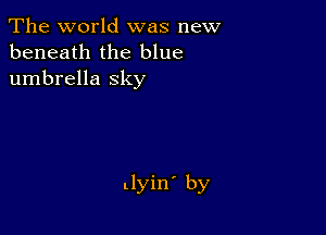 The world was new
beneath the blue
umbrella sky