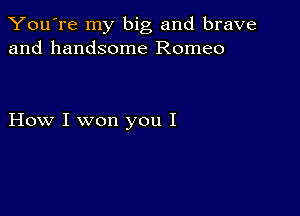 You're my big and brave
and handsome Romeo

How I won you I