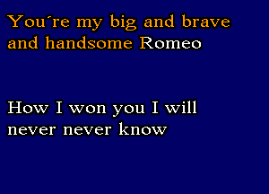 You're my big and brave
and handsome Romeo

How I won you I will
never never know