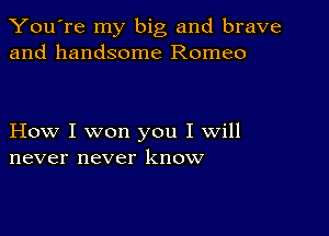 You're my big and brave
and handsome Romeo

How I won you I will
never never know