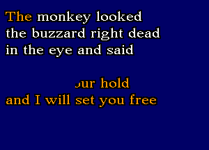 The monkey looked
the buzzard right dead
in the eye and said

Jur hold
and I will set you free