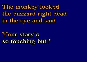 The monkey looked
the buzzard right dead
in the eye and said

Your story's
so touching but