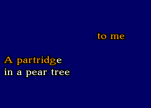 A partridge
in a pear tree