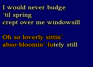 I would never budge
til spring
crept over me windowsill

Oh so loverly sittin'
abso-bloomin'-lutely still