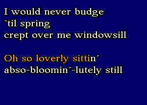 I would never budge
til spring
crept over me windowsill

Oh so loverly sittin'
abso-bloomin'-lutely still