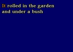 It rolled in the garden
and under a bush