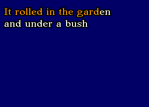 It rolled in the garden
and under a bush