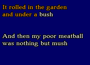 It rolled in the garden
and under a bush

And then my poor meatball
was nothing but mush