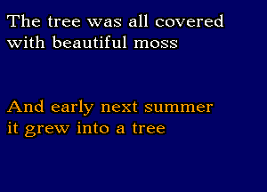 The tree was all covered
with beautiful moss

And early next summer
it grew into a tree