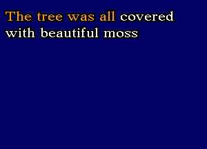 The tree was all covered
with beautiful moss