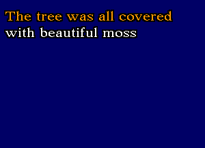 The tree was all covered
with beautiful moss