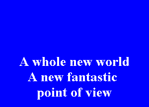 A Whole new world
A new fantastic
point of view