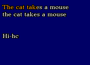 The cat takes a mouse
the cat takes a mouse