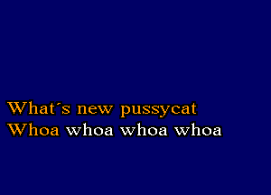 XVhat's new pussycat
Whoa whoa whoa Whoa