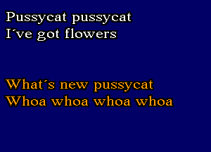 Pussycat pussycat
I've got flowers

XVhat's new pussycat
Whoa whoa whoa Whoa