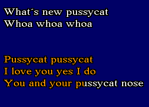 TWhat's new pussycat
XVhoa whoa whoa

Pussycat pussycat
I love you yes I do
You and your pussycat nose