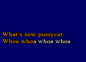 XVhat's new pussycat
Whoa whoa whoa Whoa