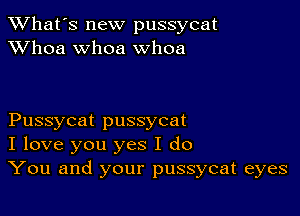 TWhat's new pussycat
XVhoa whoa whoa

Pussycat pussycat
I love you yes I do
You and your pussycat eyes