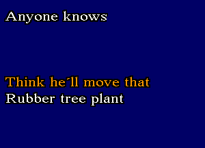 Anyone knows

Think he'll move that
Rubber tree plant