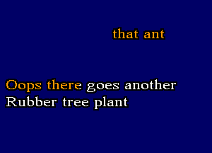 that ant

Oops there goes another
Rubber tree plant