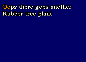 Oops there goes another
Rubber tree plant