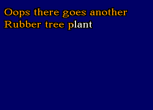 Oops there goes another
Rubber tree plant