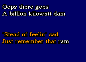 Oops there goes
A billion kilowatt dam

Stead of feelin' sad
Just remember that ram