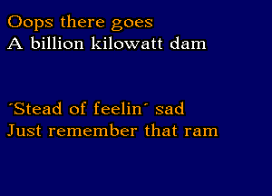 Oops there goes
A billion kilowatt dam

Stead of feelin' sad
Just remember that ram