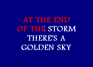 '. STORM

TH ERE'S A
GOLDEN SKY