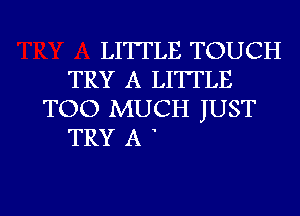 LITTLE TOUCH
TRY A LITTLE
TOO MUCH JUST
TRY A

g