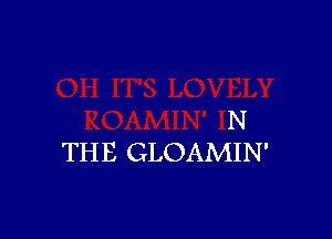 N
THE GLOAMIN'