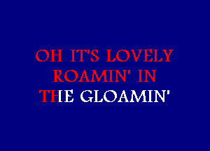 IE GLOAMIN'