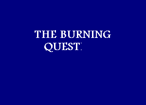 THE BURNING
QUESTI