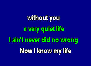 without you
a very quiet life

I ain't never did no wrong

Now I know my life