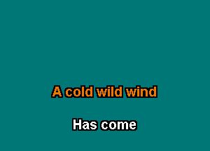 A cold wild wind

Has come