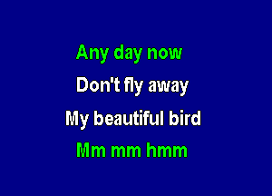 Any day now

Don't fly away

My beautiful bird
Mm mm hmm