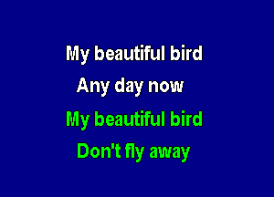 My beautiful bird
Any day now
My beautiful bird

Don't fly away