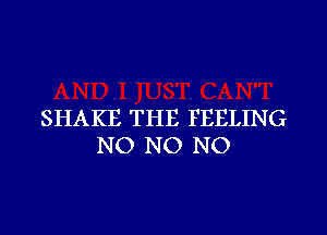 SHAKE THE FEELING
NO NO NO