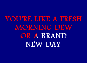 1 BRAND
NEW DAY