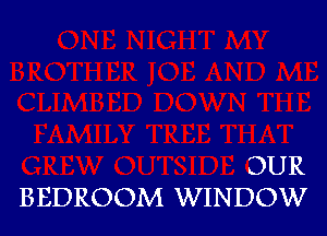 OUR
BEDROOM WINDOW