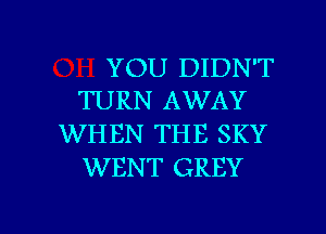 YOU DIDN'T
TURN AWAY
WHEN THE SKY
WENT GREY

g